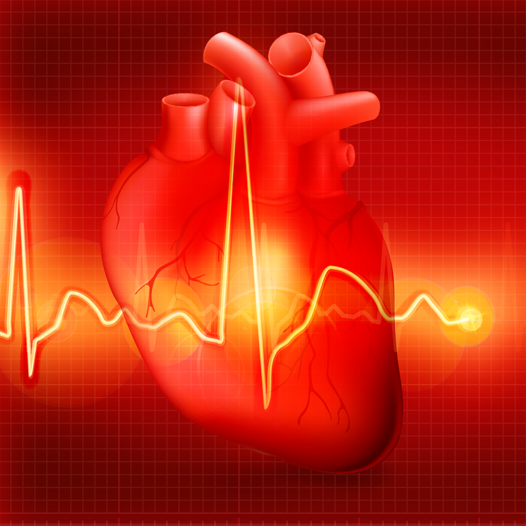 Tachycardie : symptômes, causes et traitements – Guide complet